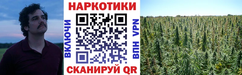 Купить Краснозаводск ГАШИШ Кокаин СОЛЬ Канабис МЕФ
