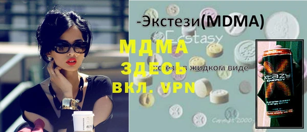 индика Алексин