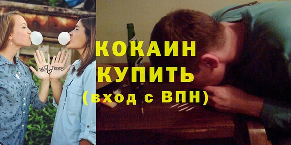 индика Алексин