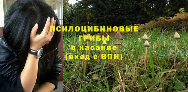 молекула духа Абдулино